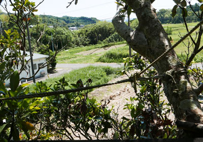 秘密基地からの眺め