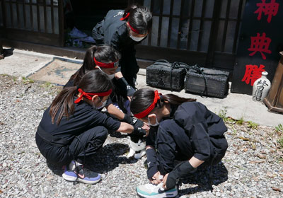 人にすり寄る猫